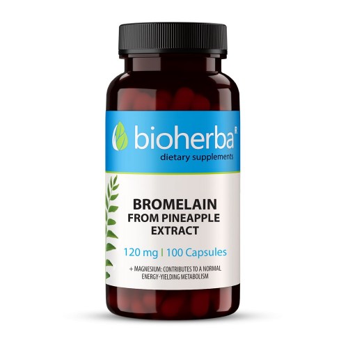 BIOHERBA BROMELAIN / БРОМЕЛАИН 120МГ КАПС. Х100 BIOHERBA BROMELAIN / БРОМЕЛАИН 120МГ КАПС. Х100