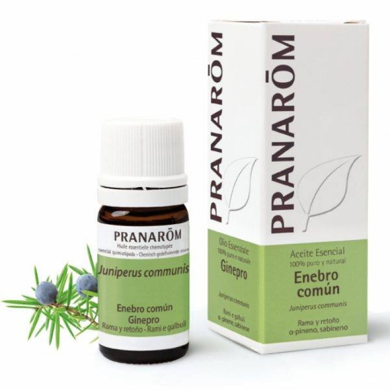 PRANAROM/ ПРАНАРОМ Етерично масло от хвойна 5МЛ PRANAROM/ ПРАНАРОМ Етерично масло от хвойна 5МЛ