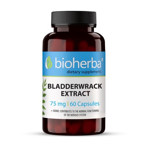 BIOHERBA BLADDERWRACK EXTRACT / БИОХЕРБА МЕХУРЧЕСТО ВОДОРАСЛО EКСТРАКТ 75МГ КАПС. Х60 BIOHERBA BLADDERWRACK EXTRACT / БИОХЕРБА МЕХУРЧЕСТО ВОДОРАСЛО EКСТРАКТ 75МГ КАПС. Х60