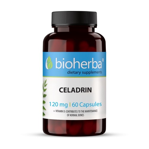BIOHERBA CELADRIN / ЦЕЛАДРИН 120МГ КАПС. Х60