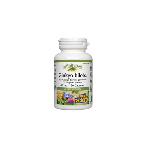 NATURAL FACTORS GINKGO BILOBA / ГИНКО БИЛОБА 60МГ КАПС. Х120