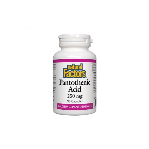 NATURAL FACTORS PANTOTHENIC ACID / ПАНТОТЕНОВА КИСЕЛИНА 250МГ КАПС. Х90 NATURAL FACTORS PANTOTHENIC ACID / ПАНТОТЕНОВА КИСЕЛИНА 250МГ КАПС. Х90