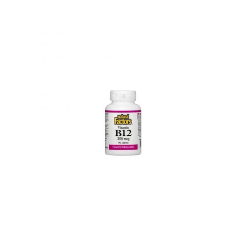 NATURAL FACTORS VITAMIN B12 / ВИТАМИН В12 250МКГ ТАБЛ. Х90 NATURAL FACTORS VITAMIN B12 / ВИТАМИН В12 250МКГ ТАБЛ. Х90