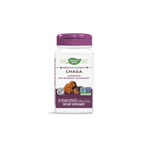 NATURE'S WAY PREMIUM EXTRACT / ЧАГА 480МГ КАПС. Х30 NATURE'S WAY PREMIUM EXTRACT / ЧАГА 480МГ КАПС. Х30