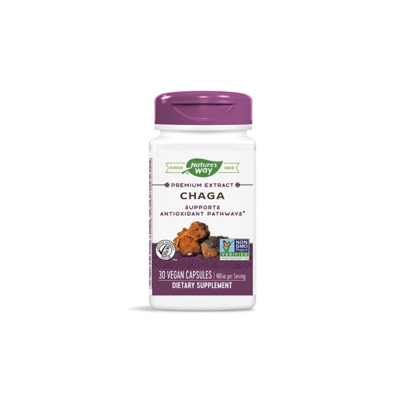 NATURE'S WAY PREMIUM EXTRACT / ЧАГА 480МГ КАПС. Х30 NATURE'S WAY PREMIUM EXTRACT / ЧАГА 480МГ КАПС. Х30