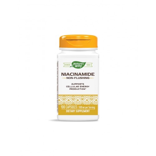 NATURE'S WAY NIACINAMIDE NON-FLUSHING / НИАЦИНАМИД (НЕ ПРЕДИЗВИКВА ЗАЧЕРВЯВАНЕ) 500МГ КАПС. Х100 NATURE'S WAY NIACINAMIDE NON-FLUSHING / НИАЦИНАМИД (НЕ ПРЕДИЗВИКВА ЗАЧЕРВЯВАНЕ) 500МГ КАПС. Х100