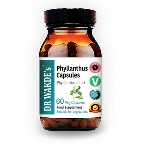 DR. WAKDE'S PHYLLANTHUS / ФИЛАНТУС - ПРИ ЗАБОЛЯВАНИЯ НА ЧЕРНИЯ ДРОБ И ДАЛАКА КАПС. Х60