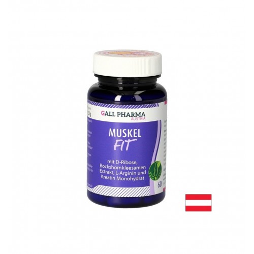 GALL PHARMA MUSKEL FIT / ФОРМУЛА ЗА МУСКУЛИ Д-РИБОЗА, СМИНДУХ, Л-АРГИНИН И КРЕАТИН КАПС. X 60 GALL PHARMA MUSKEL FIT / ФОРМУЛА ЗА МУСКУЛИ Д-РИБОЗА, СМИНДУХ, Л-АРГИНИН И КРЕАТИН КАПС. X 60