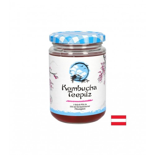 GALL PHARMA KOMBUCHA TEEPILZ / ПОДСИЛВА ИМУНИТЕТА КОМБУЧА ЧАЕНА ГЪБА С ФЕРМЕНТИРАЛ ПЛОДОВ ЧАЙ 250 МЛ