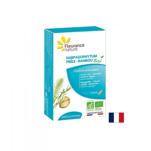 FLEURANCE NATURE HARPAGOPHYTUM PRELE-BAMBOU BIO / ДЯВОЛСКИ НОКЪТ + ХВОЩ И БАМБУК БИО КАПС. Х 40 