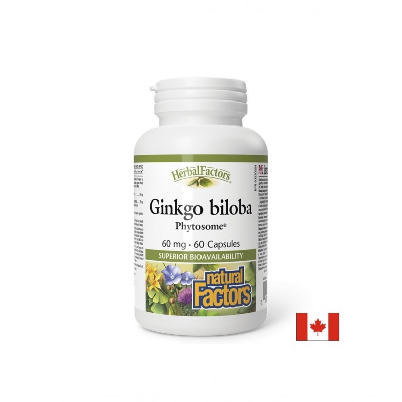 NATURAL FACTORS GINKGO BILOBA PHYOSOME / ГИНКО БИЛОБА ФИТОЗОМИ 60 МГ КАПС. X 60