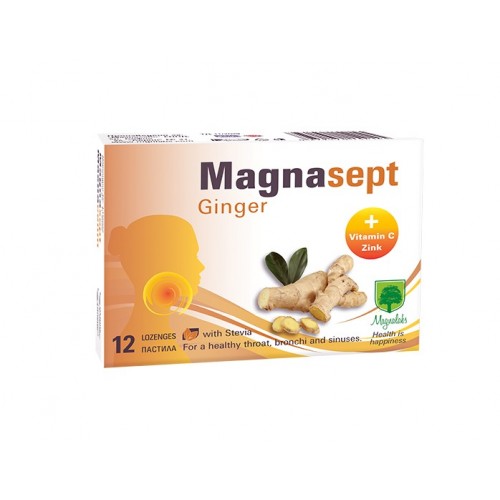 MAGNALABS MAGNASEPT GINGER / МАГНАЛАБС МАГНАСЕПТ ДЖИНДЖИФИЛ ПАСТИЛИ X12 MAGNALABS MAGNASEPT GINGER / МАГНАЛАБС МАГНАСЕПТ ДЖИНДЖИФИЛ ПАСТИЛИ X12
