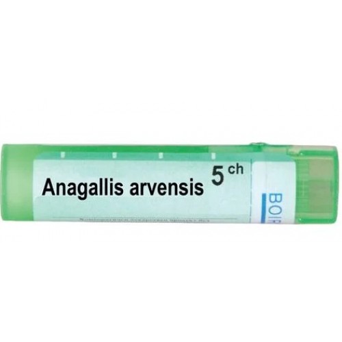 ANAGALLIS ARVENSIS CH5