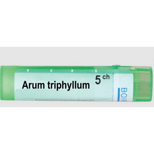 ARUM TRIPHYLLUM 5CH