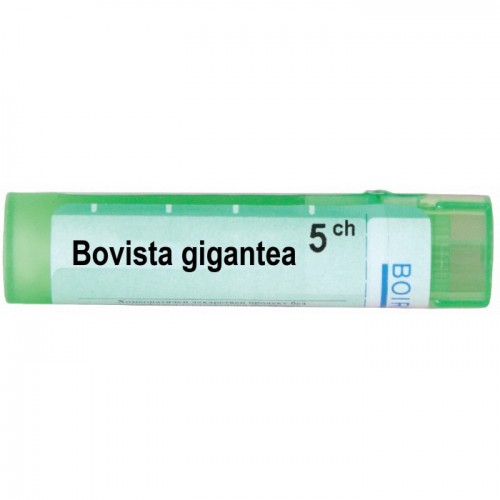 BOVISTA GIGANTEA CH 5 BOVISTA GIGANTEA CH 5