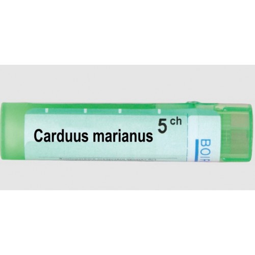 CARDUUS MARIANUS CH 5