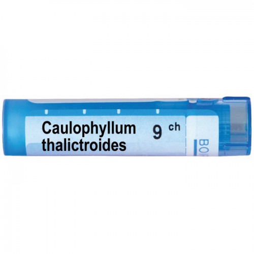 CAULOPHYLLUM THALICTROIDES CH 9