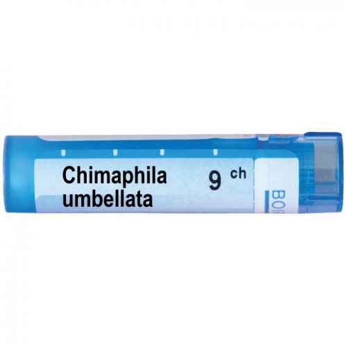 CHIMAPHILA UMBELLATA CH 9