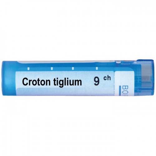 CROTON TIGLIUM CH 9 CROTON TIGLIUM CH 9