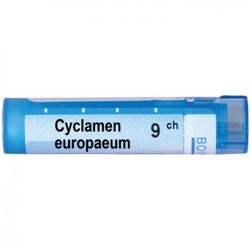 CYCLAMEN EUROPAEUM CH 9 CYCLAMEN EUROPAEUM CH 9