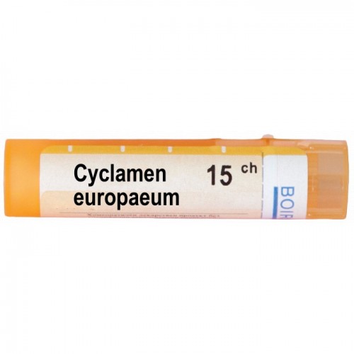CYCLAMEN EUROPAEUM CH 15 CYCLAMEN EUROPAEUM CH 15