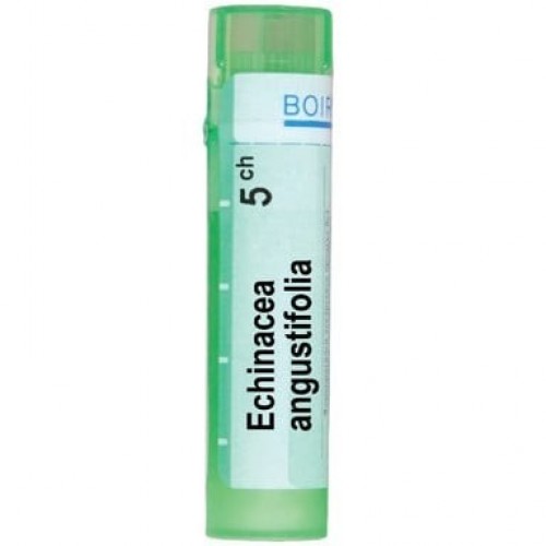 ECHINACEA ANGUSTIFOLIA CH 5