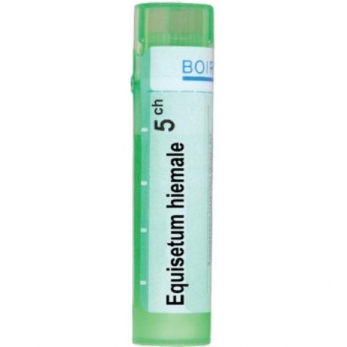 EQUISETUM HIEMALE CH 5