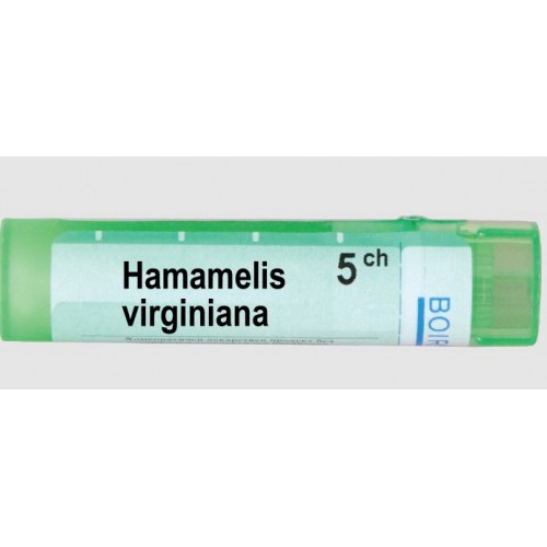 HAMAMELIS VIRGINIANA CH 5 HAMAMELIS VIRGINIANA CH 5