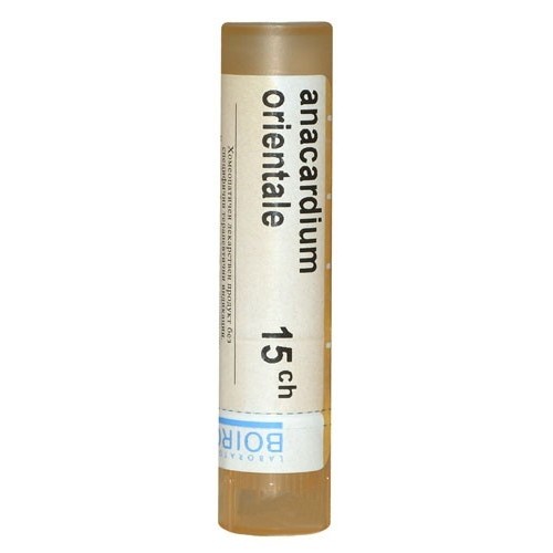 ANACARDIUM ORIENTALE CH 15