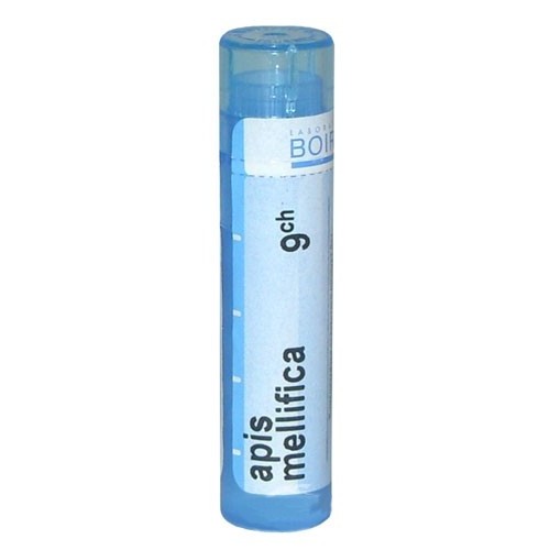 APIS MELLIFICA CH 9