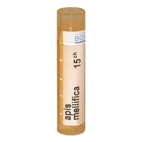 APIS MELLIFICA CH 15