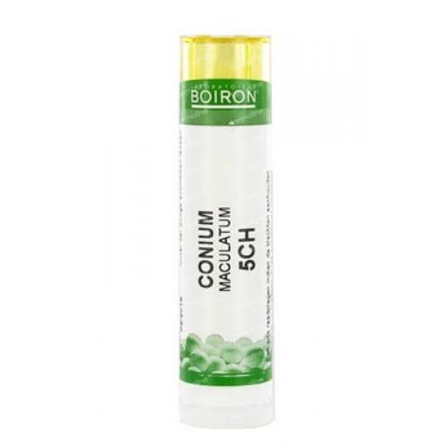 CONIUM MACULATUM CH 5 CONIUM MACULATUM CH 5