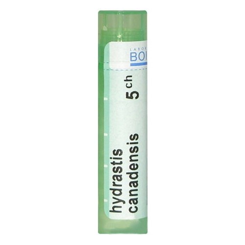 HYDRASTIS CANADENSIS CH 5 HYDRASTIS CANADENSIS CH 5