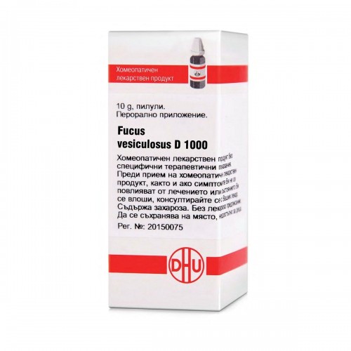 FUCUS VESICULOSUS D1000 GLOB 10G VW BG FUCUS VESICULOSUS D1000 GLOB 10G VW BG