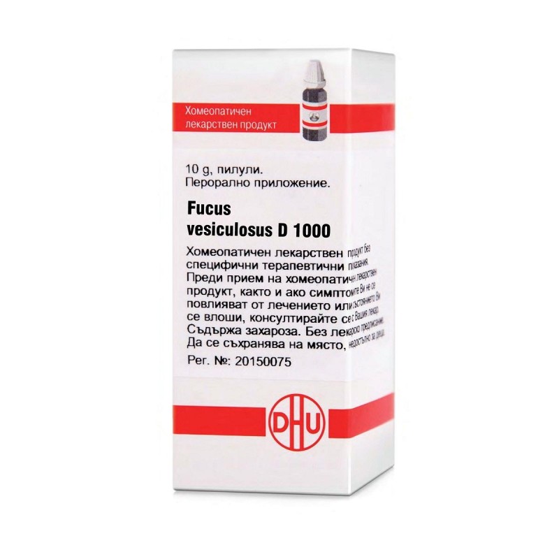 FUCUS VESICULOSUS D1000 GLOB 10G VW BG FUCUS VESICULOSUS D1000 GLOB 10G VW BG