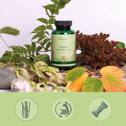 Vegavero Cissus Quadrangularis Цисус 400 mg капс х120